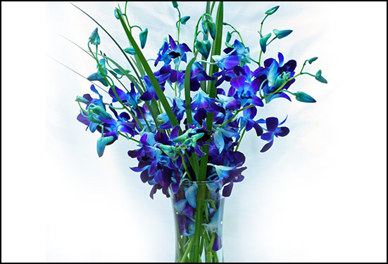 Fresh flowers - A promising Father day gift idea